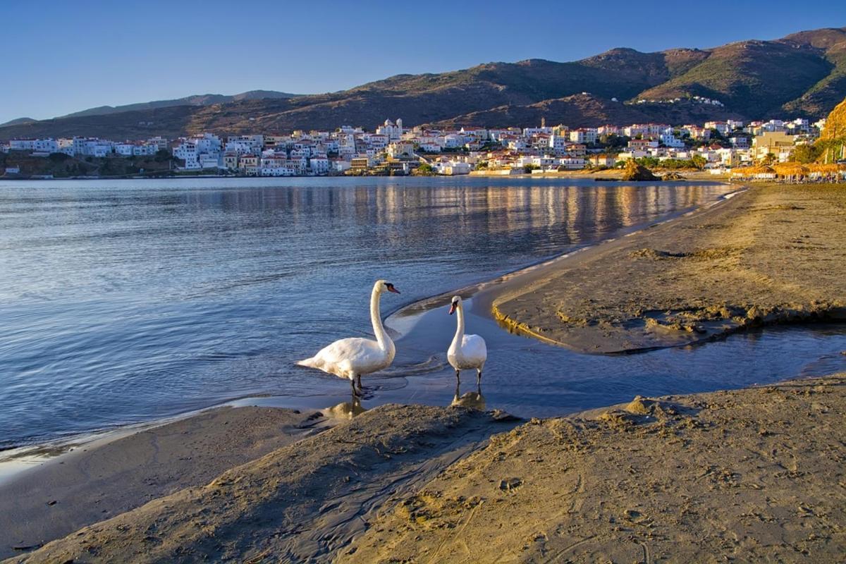 Kontos-Traditional House In Andros Beach Luaran gambar